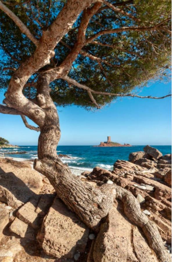 Le Semaphore Saint-Raphaël Екстериор снимка